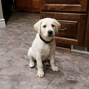 Meet your Posher, Lori